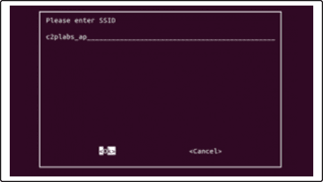 Raspberry Pi Configuration - SSID Entry