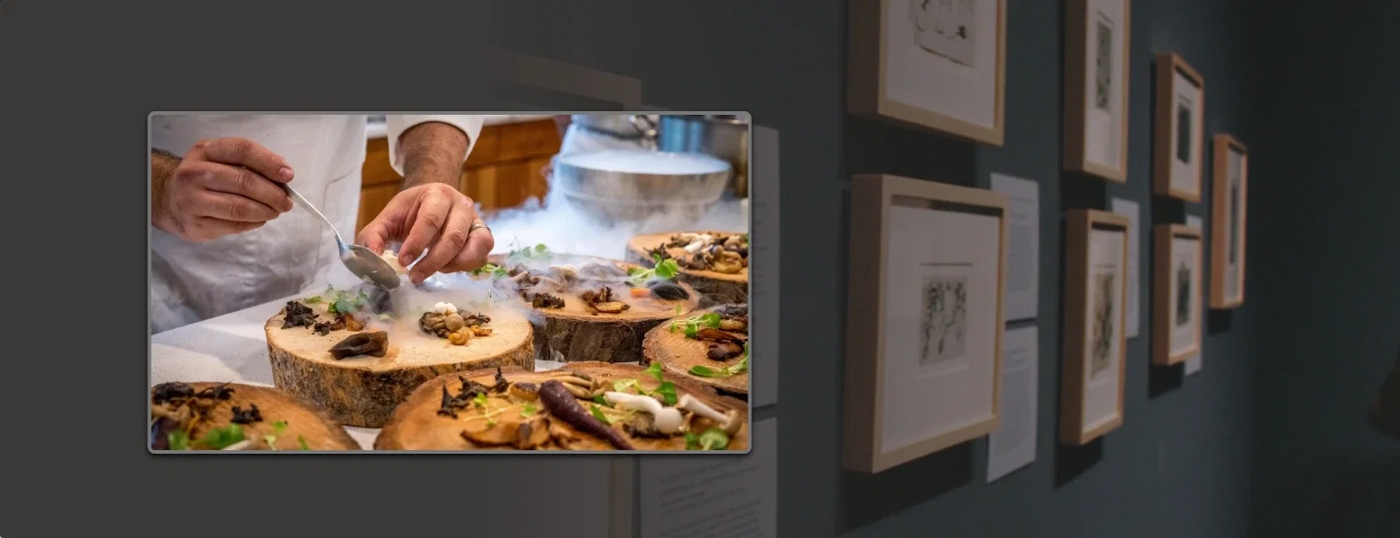 Digital photo frames showing food videography and photos of people