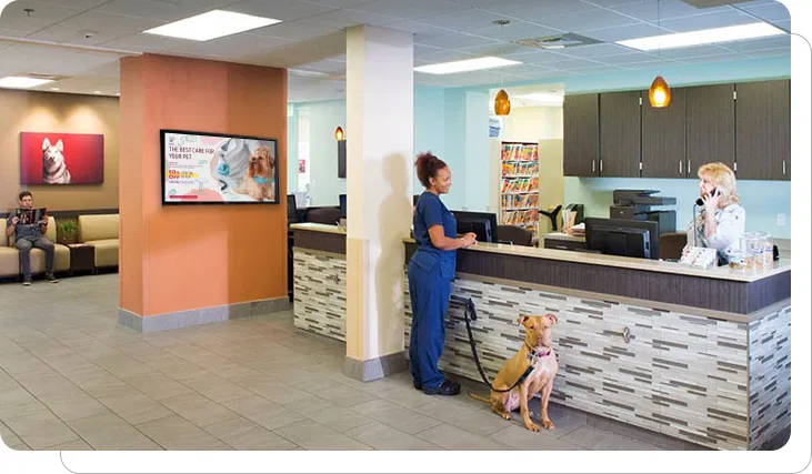 Veterinary digital signage promoting wellness and services Veterinary digital signage promoting wellness and services
