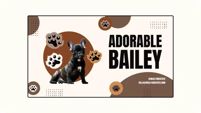 Real-time content updates on pet store digital signage Real-time content updates on pet store digital signage